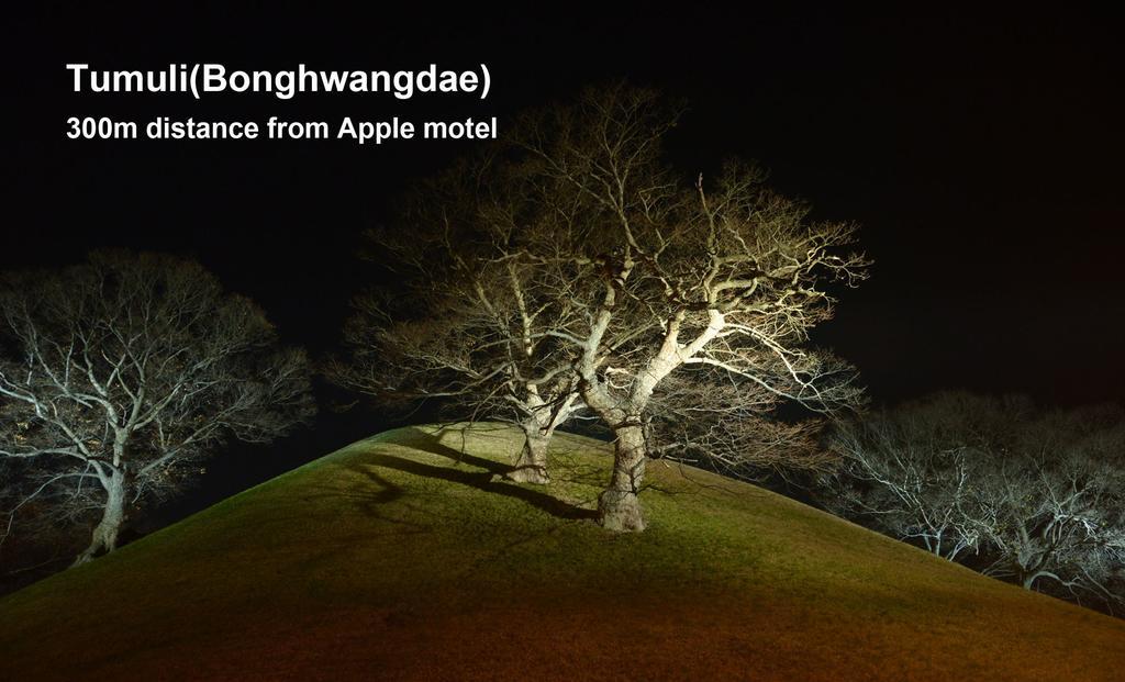 Apple House Motel Gyeongju Exterior foto